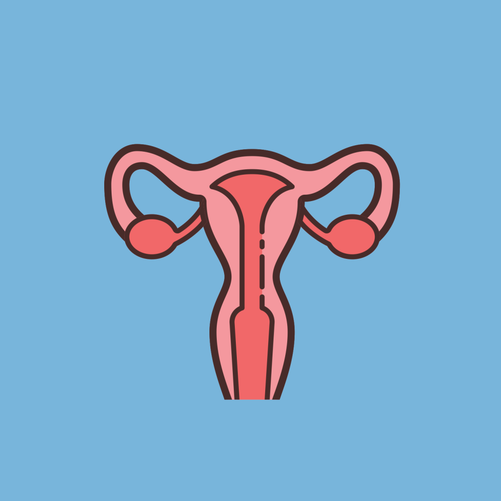 Icon reproduktive Gesundheit
